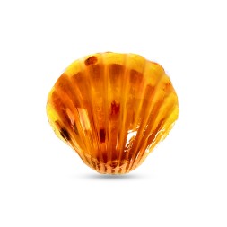 Мыло янтарное &quot;Ракушка&quot; фигурное 50-55 г