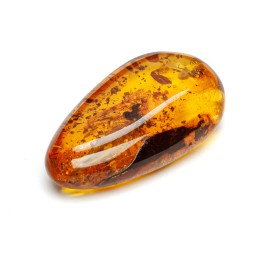 Камень Янтарь с инклюзом