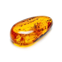 Камень Янтарь с инклюзом