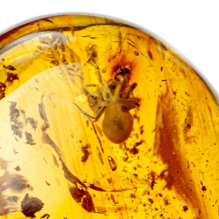 Камень Янтарь с инклюзом купить