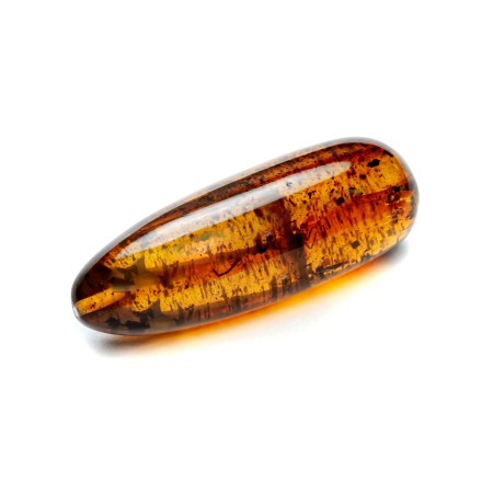 Камень Янтарь с инклюзом купить