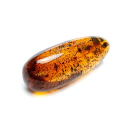 Камень Янтарь с инклюзом