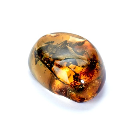 Сувенирный камень &quot;Жук&quot;, Янтарь полунатуральный с инклюзом купить