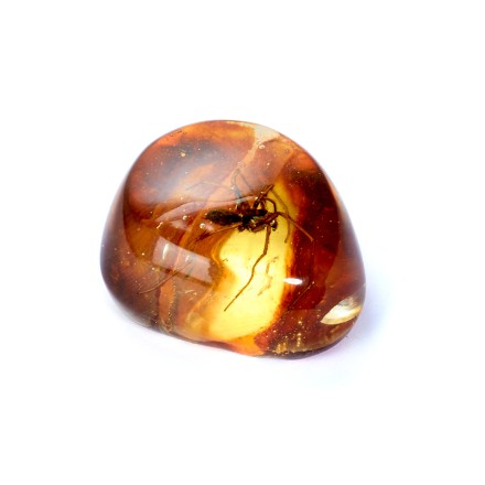 Сувенирный камень &quot;Паук&quot;, Янтарь полунатуральный с инклюзом купить