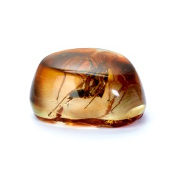 Сувенирный камень &quot;Паук&quot;, Янтарь полунатуральный с инклюзом