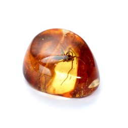 Сувенирный камень &quot;Паук&quot;, Янтарь полунатуральный с инклюзом